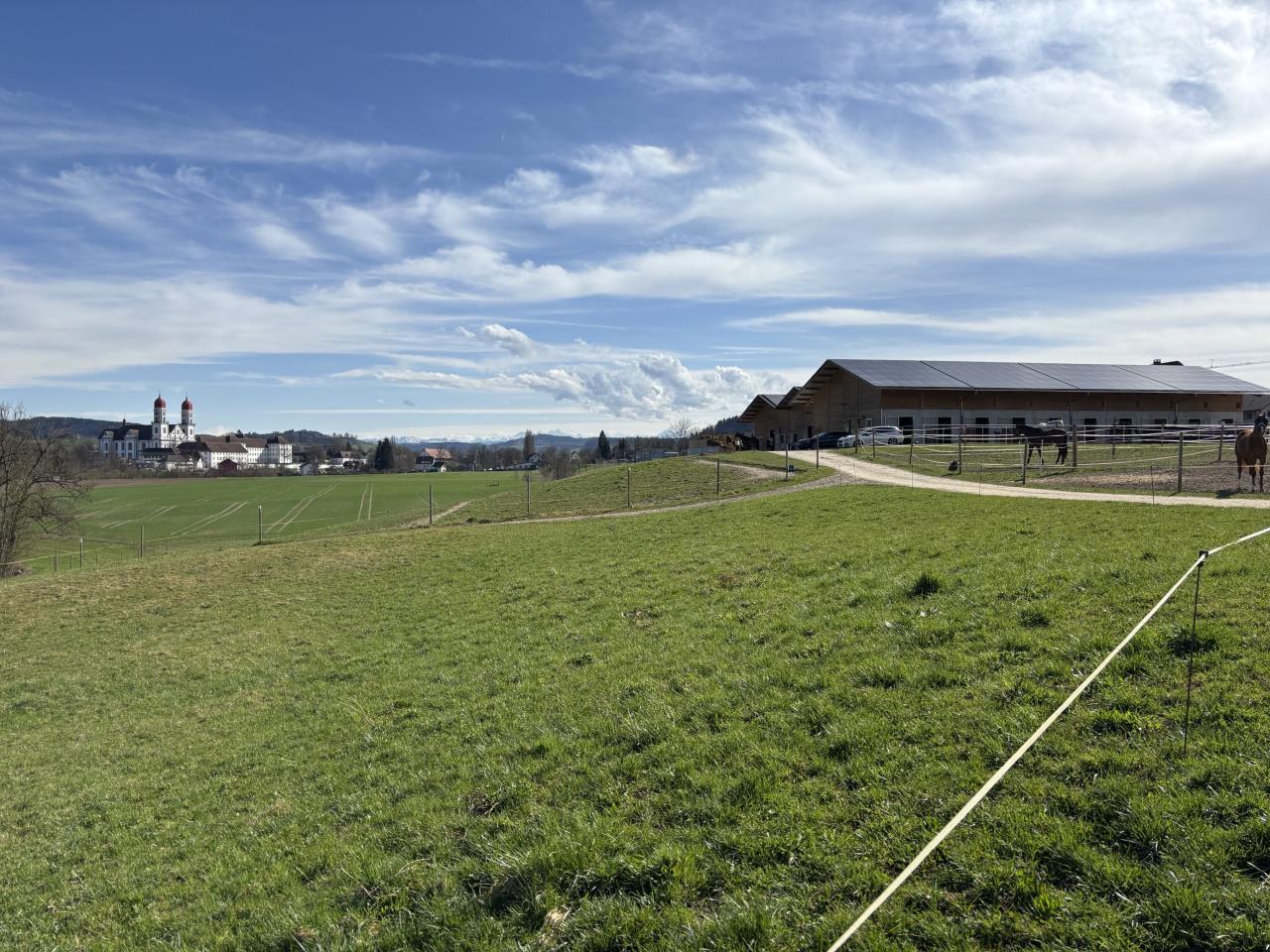 Grüne Wiese mit einem Pferdestall und blauem Himmel.
