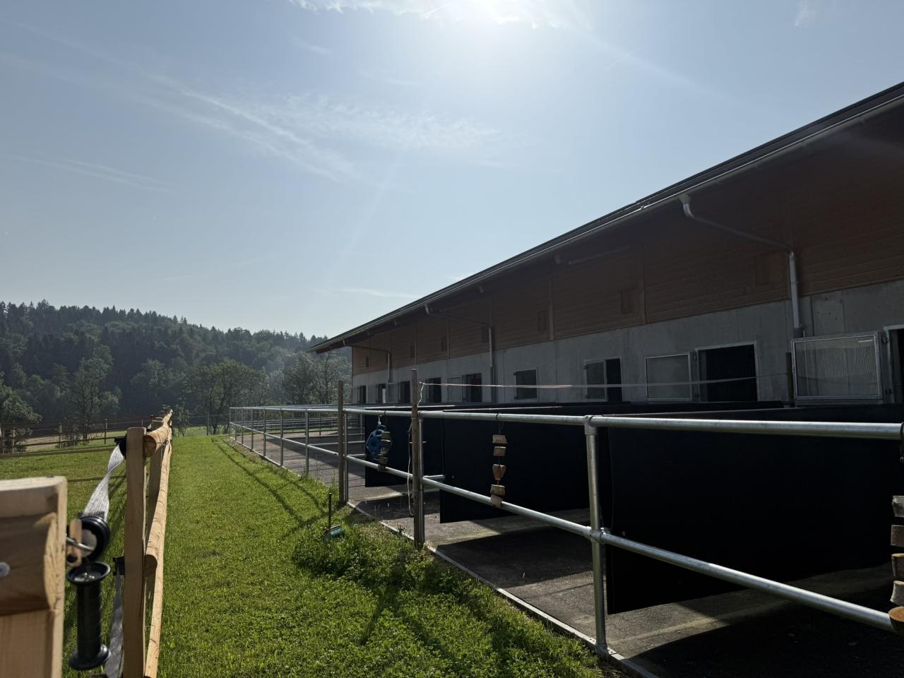 Stallgebäude mit Aussen Paddocks