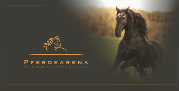 Pferdearena-Banner mit Logo links und schwarzem Pferd auf der Wiese rechts.